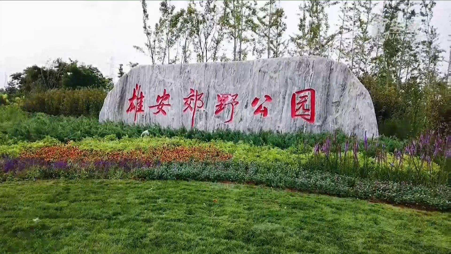 九五至尊VI电气雄安郊外公园建设工程及配套设施项目